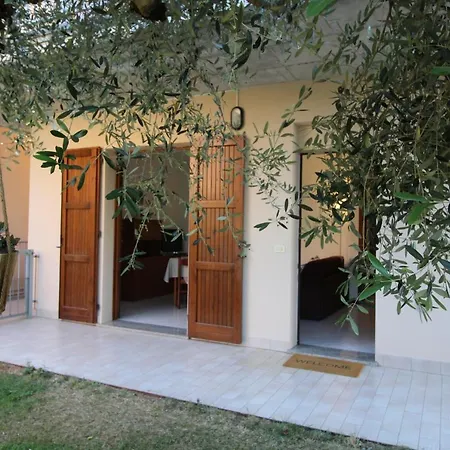 Apartment Tre Ulivi